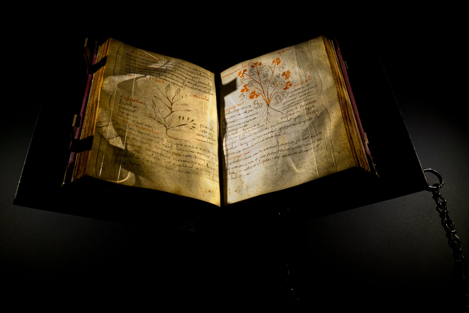 The Lombards People who changed history Leisure Italy