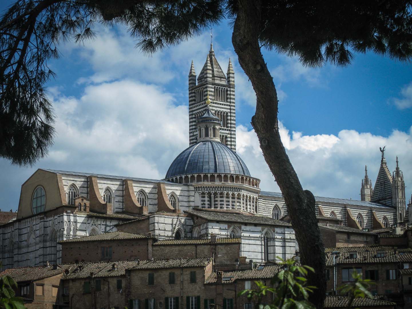 Wine Tours From Pisa Wine Tours From Pisa